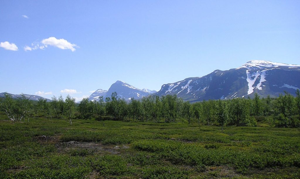 Padjelanta Nationalpark